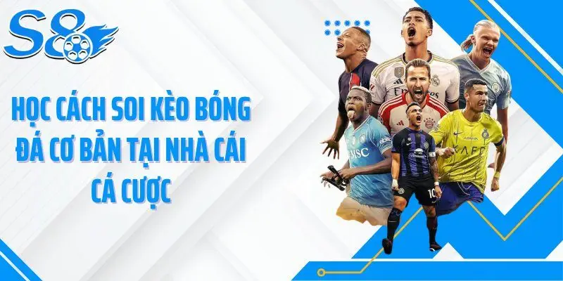 Học cách soi kèo bóng đá cơ bản tại nhà cái cá cược