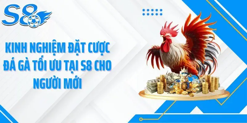 Kinh nghiệm đặt cược đá gà tối ưu tại S8 cho người mới